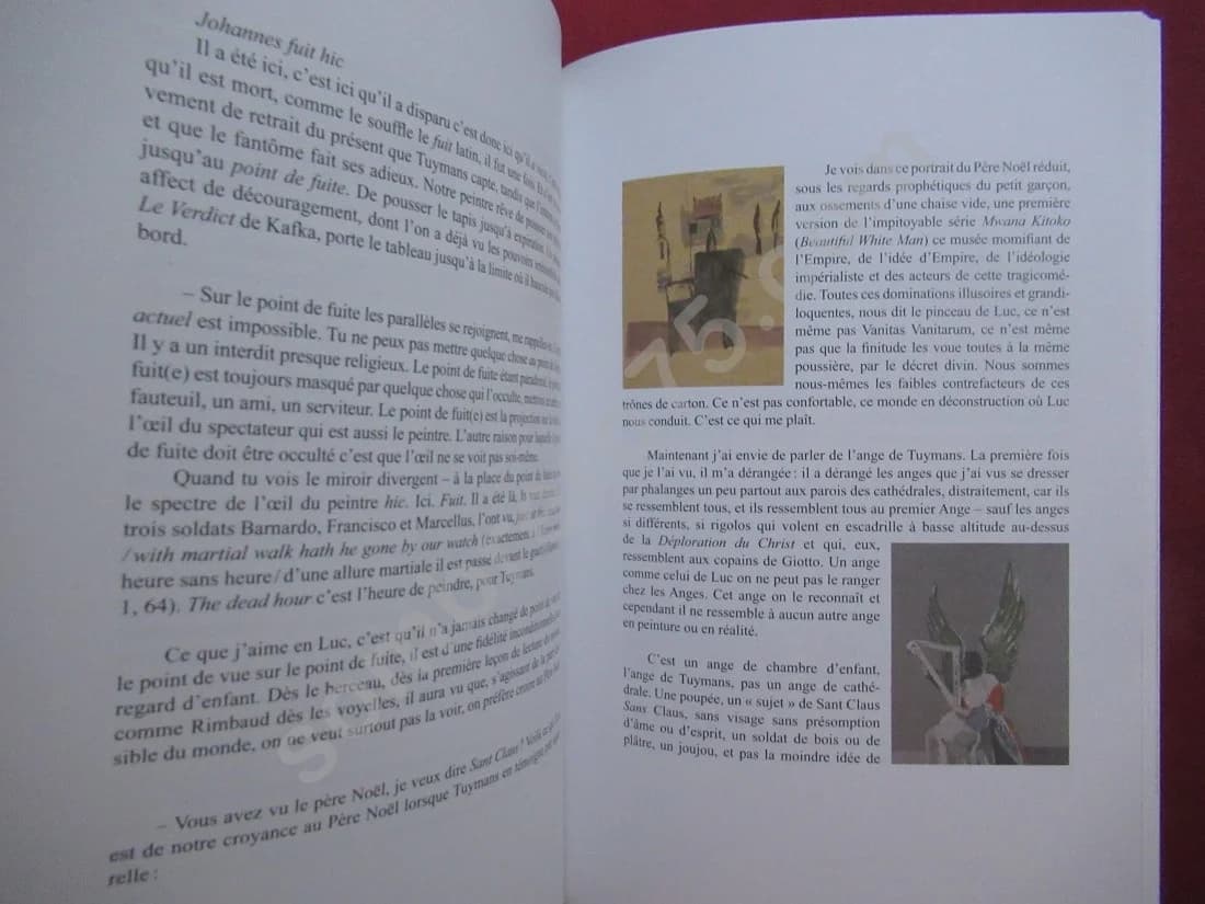 Luc Tuymans - Relevé de la mort. Coffret 2 tomes - Image 7