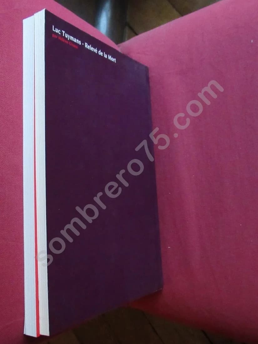 Luc Tuymans - Relevé de la mort. Coffret 2 tomes - Image 9