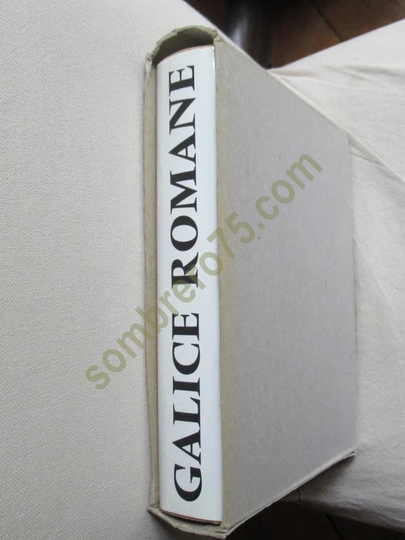Galice Romane - Image 4