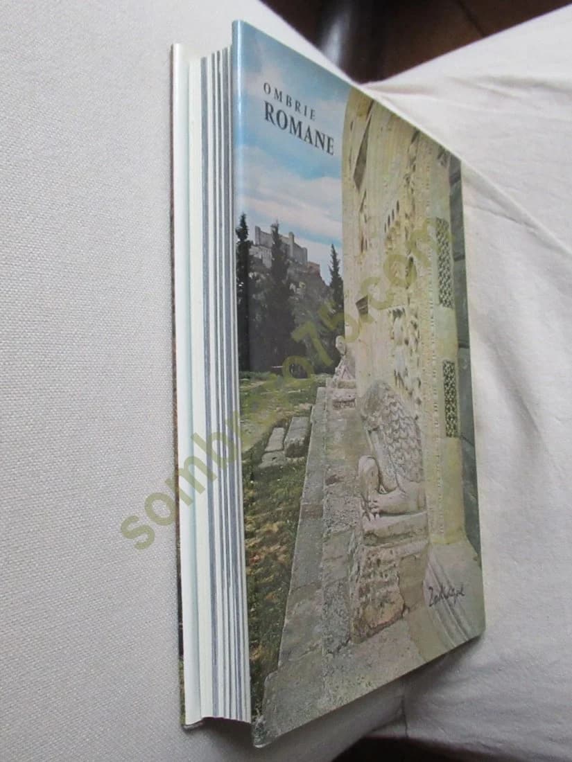 Ombrie Romane - Image 3