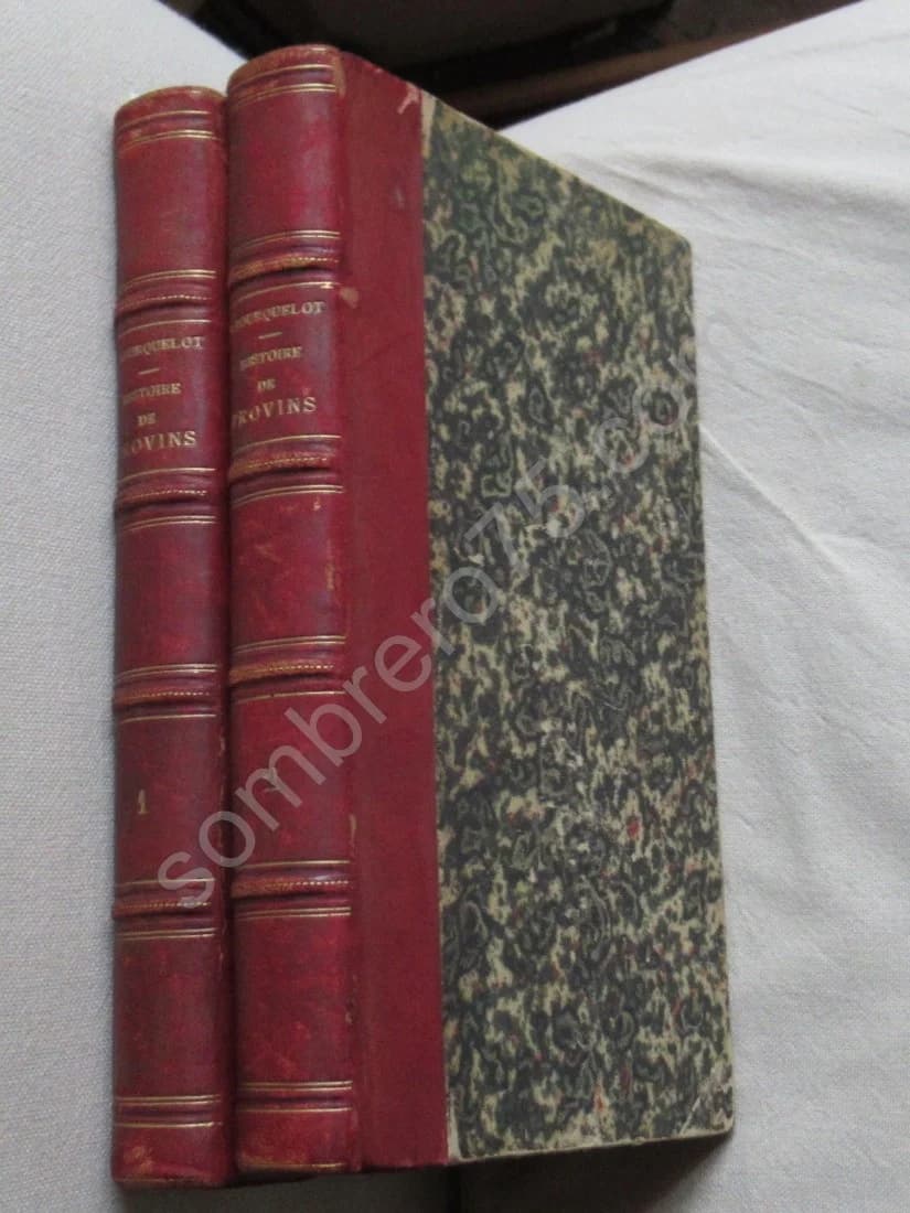 Histoire de Provins - 1839. 2 volumes