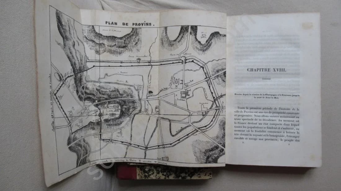 Histoire de Provins - 1839. 2 volumes - Image 6