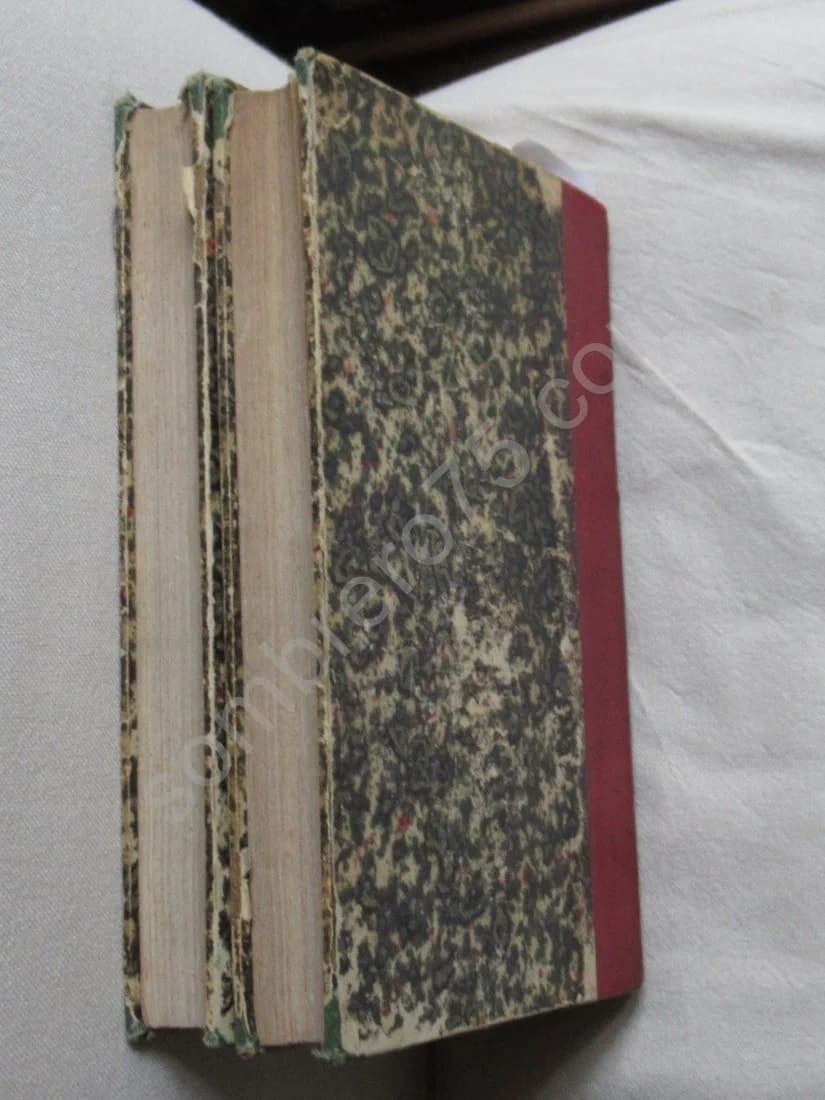 Histoire de Provins - 1839. 2 volumes - Image 9