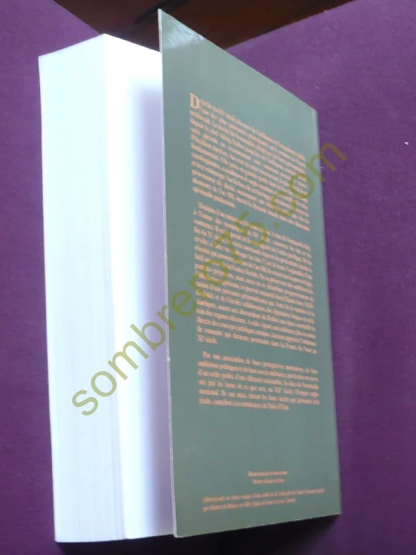 Le duc et la loi. : Héritages, images et expressions du pouvoir normatif dans le duché de Normandie - Image 3