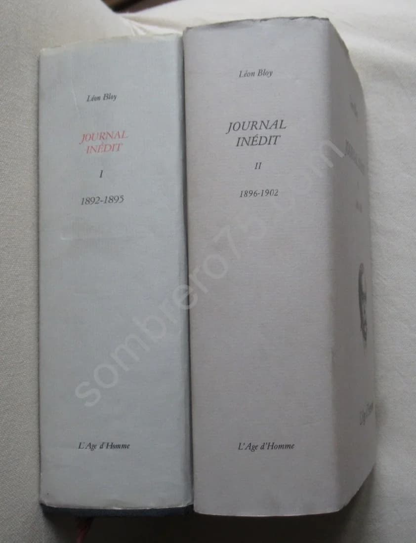 - Journal inédit. 2 volumes - Image 2