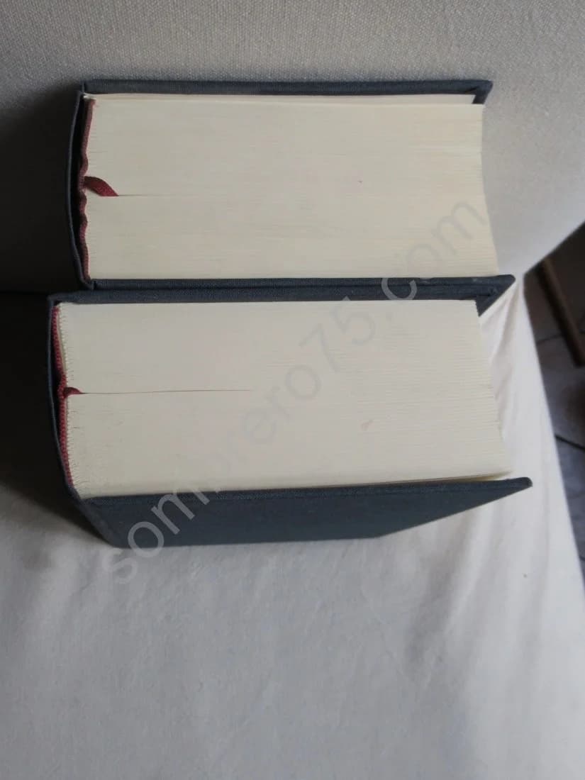 - Journal inédit. 2 volumes - Image 4