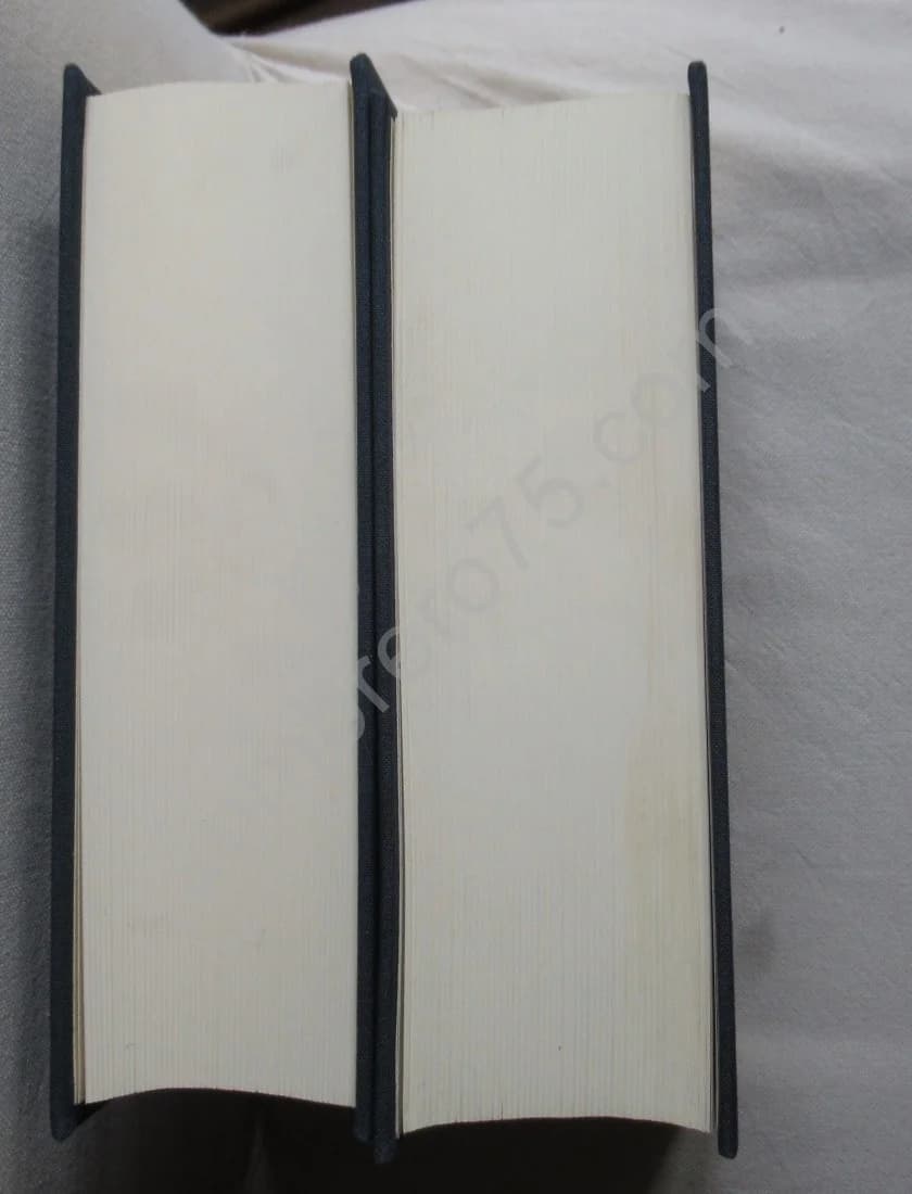 - Journal inédit. 2 volumes - Image 6