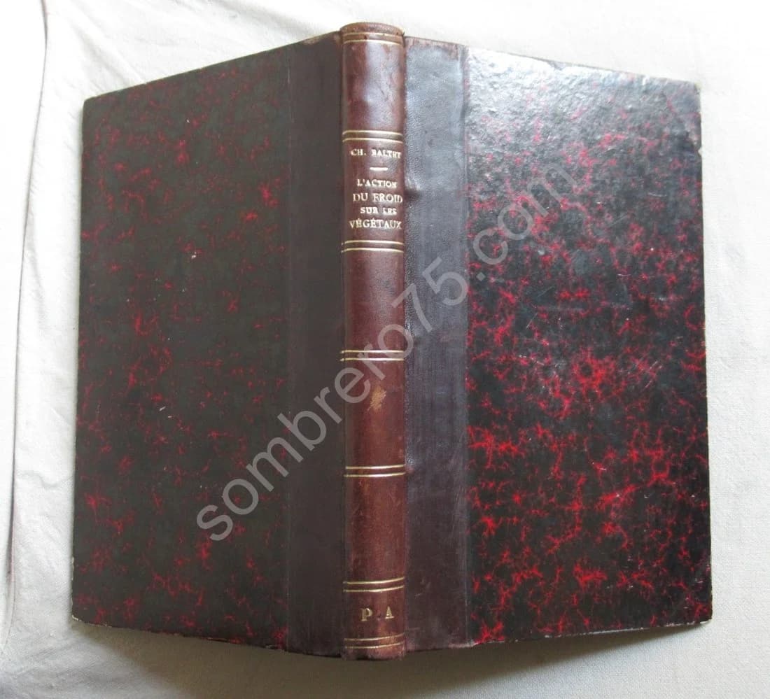 L'Action du Froid sur les Végétaux pendant l'hiver 1879-1880