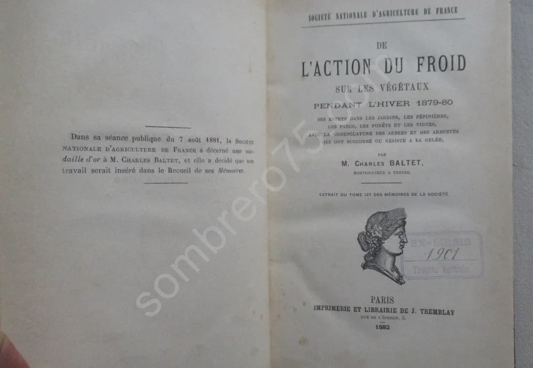 L'Action du Froid sur les Végétaux pendant l'hiver 1879-1880 - Image 3