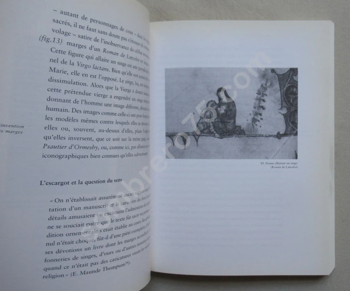 Images dans les Marges. Aux limites de l'art médiéval. M CAMILLE - Image 5
