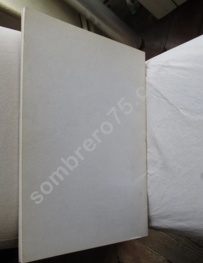 Bram Van Velde. Derrière le Miroir N°240. 1980. 2 Lithos Originales - Image 2