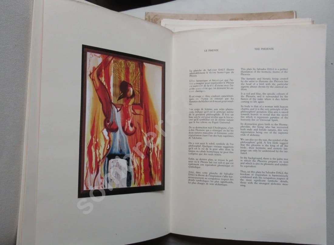 Salvador DALI - Alchimie des Philosophes - Image 8