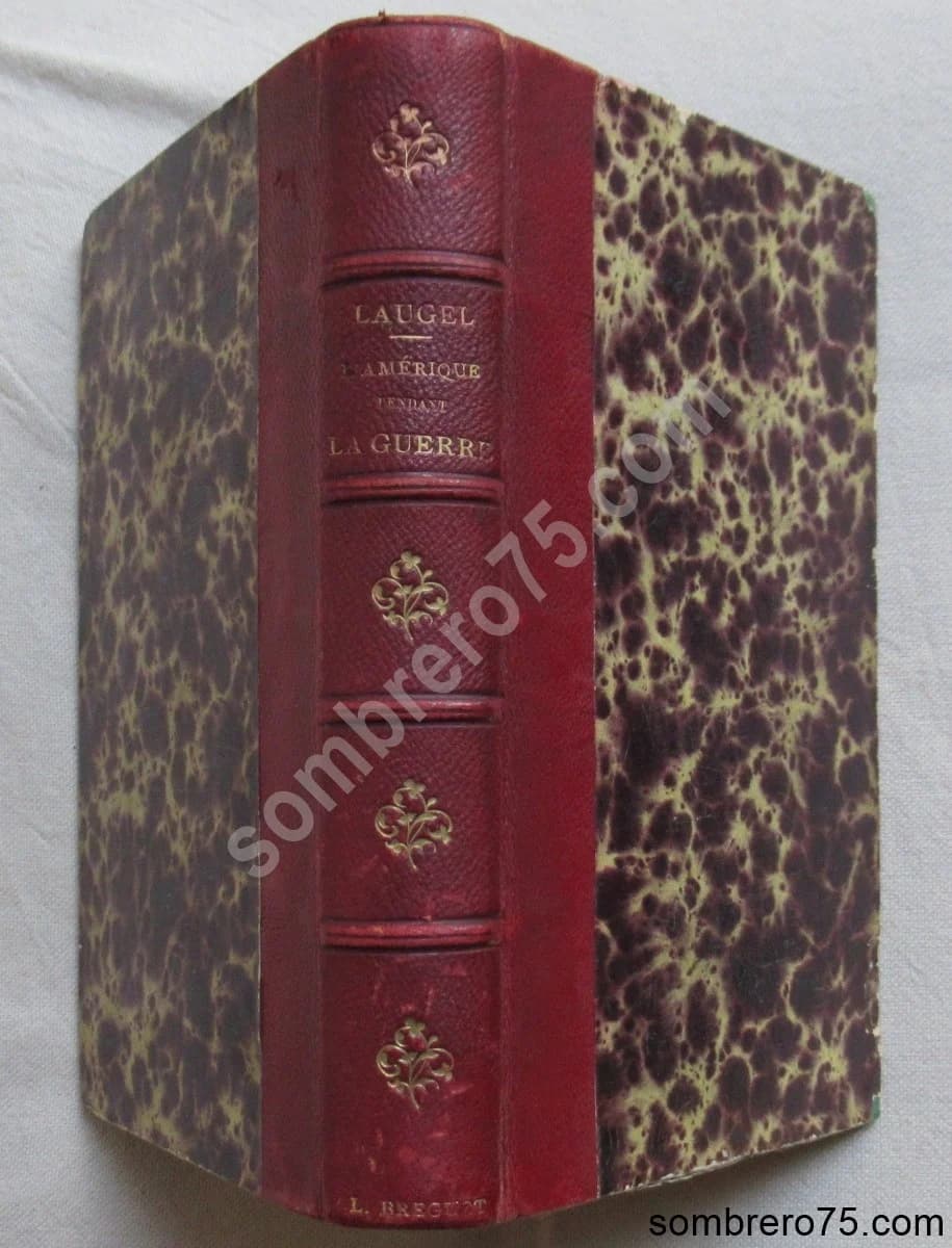 Les Etats Unis pendant la Guerre 1861-1865