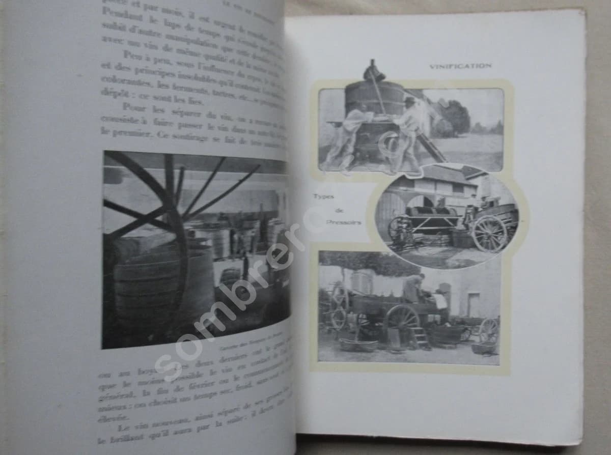 Le Vin de Bourgogne - la Côte d'Or - Image 5