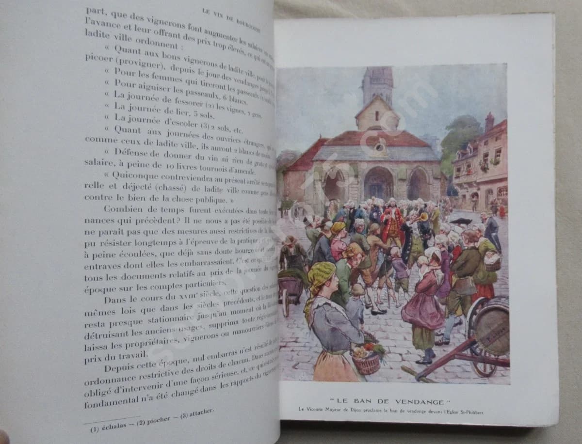 Le Vin de Bourgogne - la Côte d'Or - Image 6