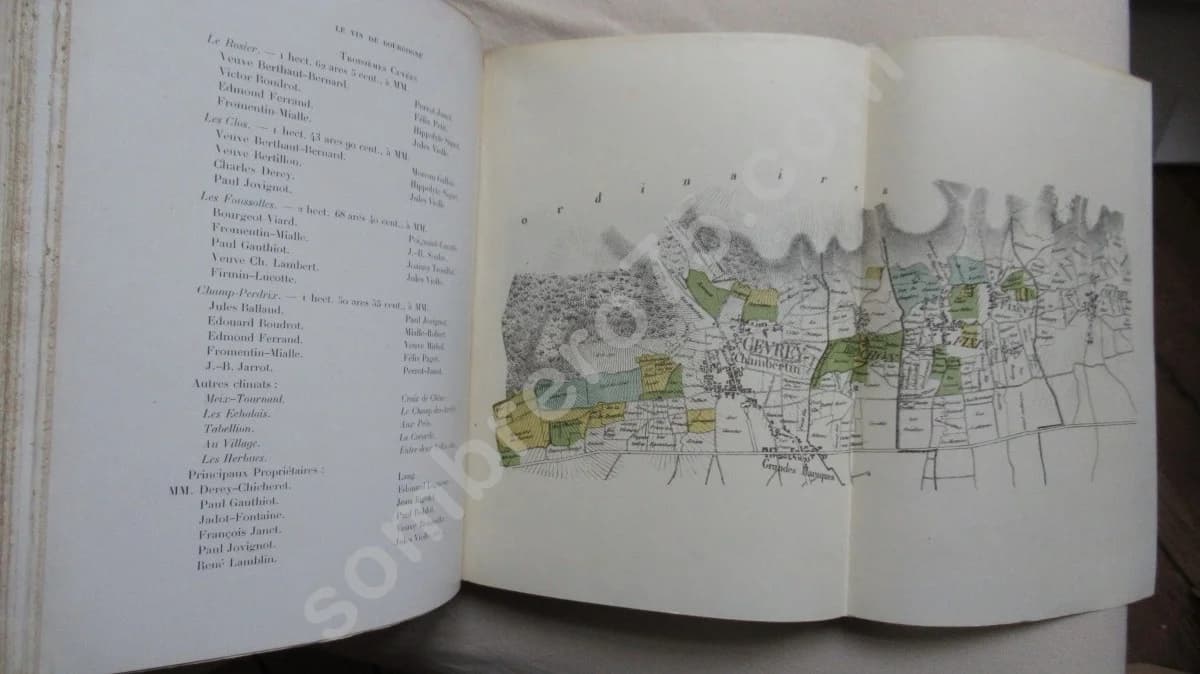 Le Vin de Bourgogne - la Côte d'Or - Image 8