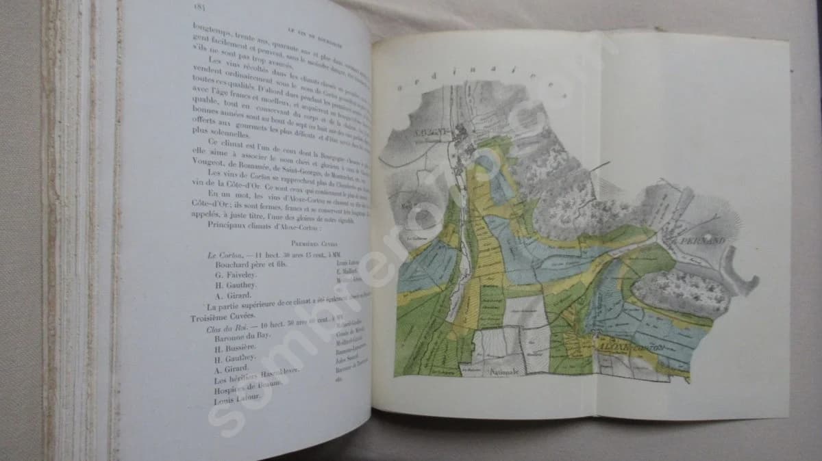 Le Vin de Bourgogne - la Côte d'Or - Image 9