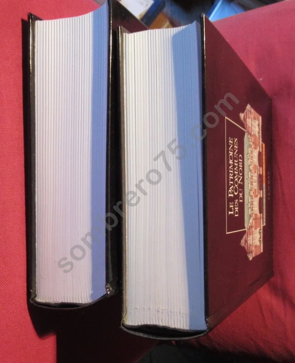 Le Patrimoine des Communes du Nord - Image 4