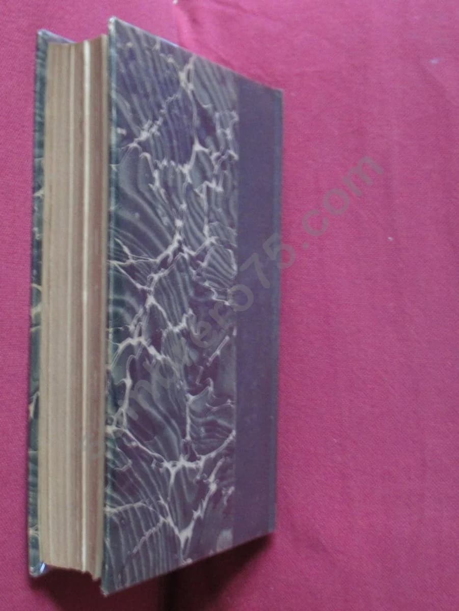 Le Masque de fer . Révélation de la Correspondance chiffrée de Louis XIV - Image 4