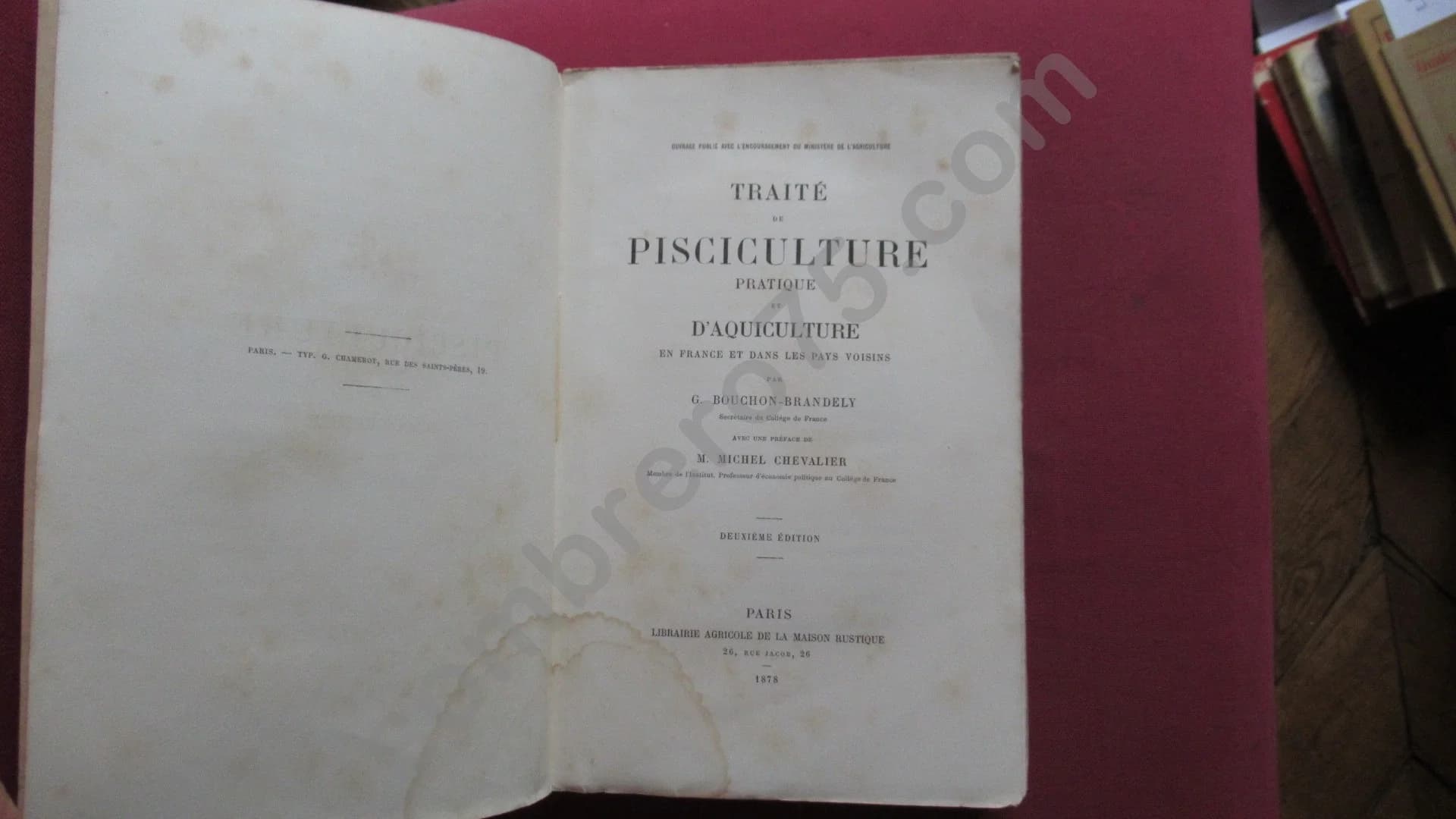 Traité de Pisciculture pratique et d'Aquiculture. 1878. BOUCHON BRANDELY - Image 4
