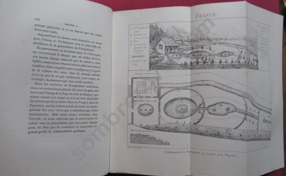 Traité de Pisciculture pratique et d'Aquiculture. 1878. BOUCHON BRANDELY - Image 5