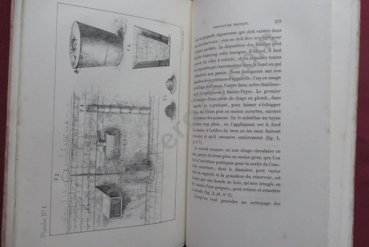 Traité de Pisciculture pratique et d'Aquiculture. 1878. BOUCHON BRANDELY - Image 6
