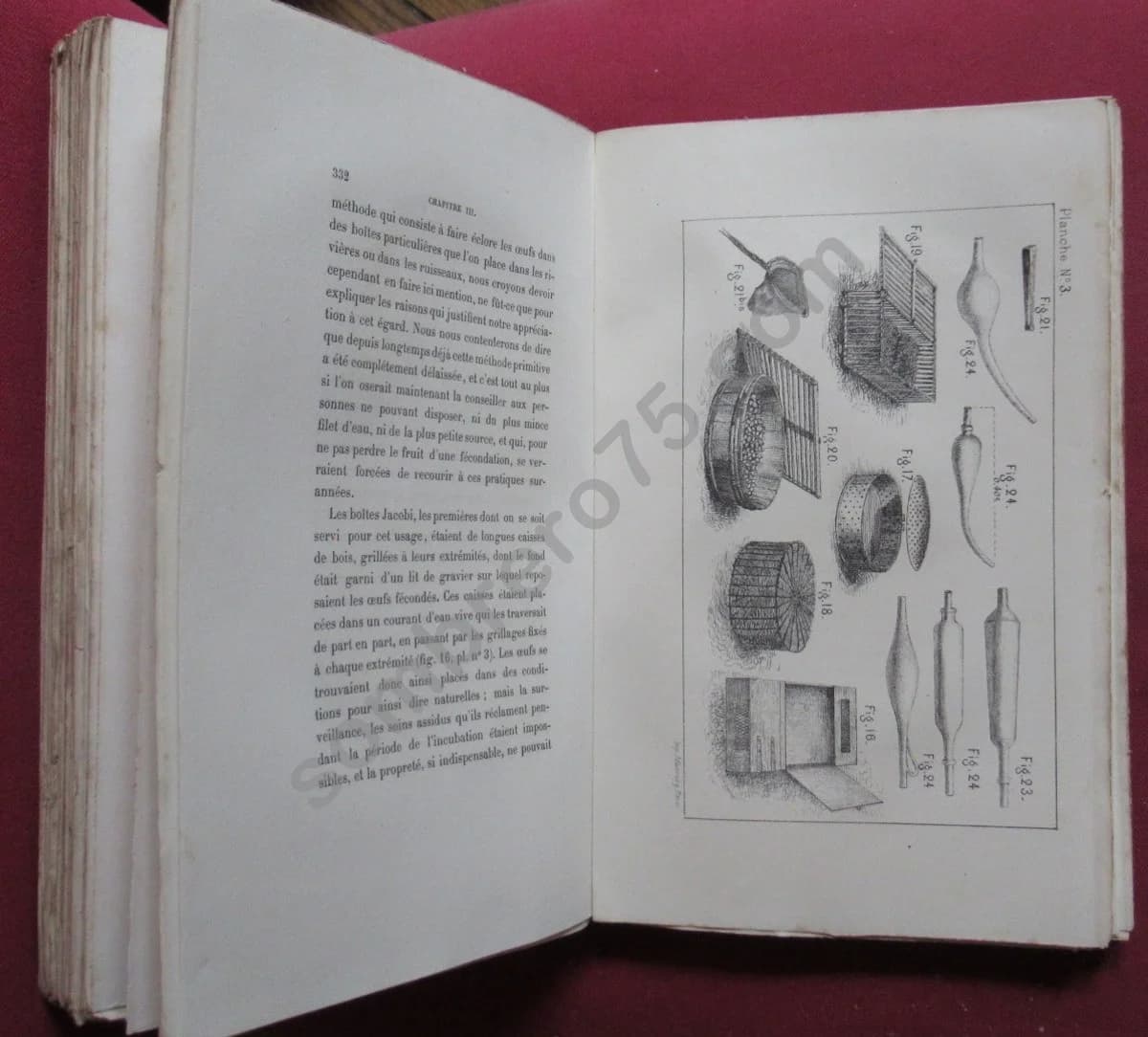 Traité de Pisciculture pratique et d'Aquiculture. 1878. BOUCHON BRANDELY - Image 7