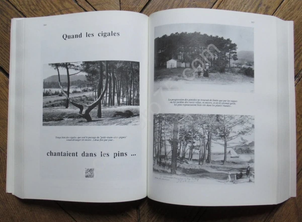Histoire et Histoires .. de Cavalaire. J D de GERMOND - Image 3