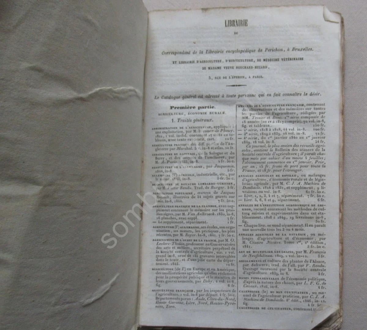 Traité de la Culture des Pommiers et Poiriers - Image 3