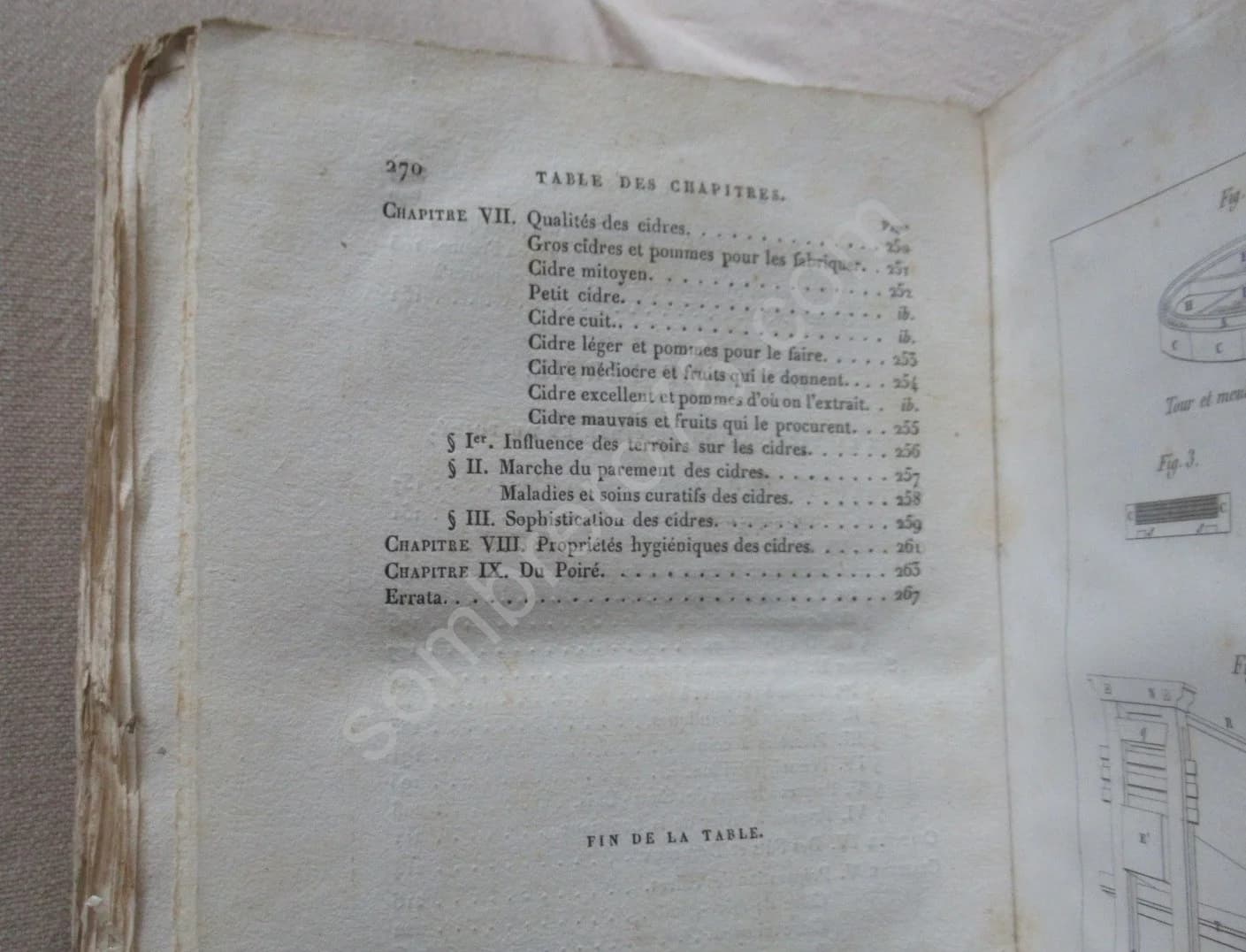 Traité de la Culture des Pommiers et Poiriers - Image 8