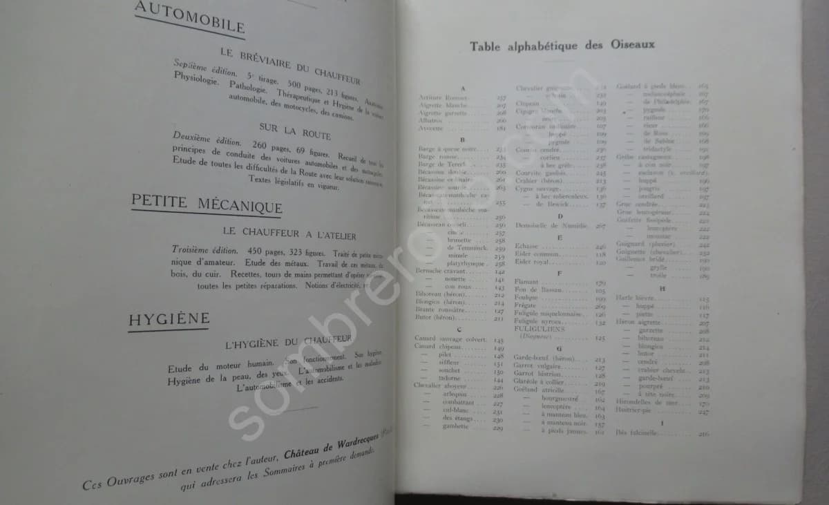 Notre Sauvagine et sa Chasse. Chasse - Classification - Description. R BOMMIER - Image 3