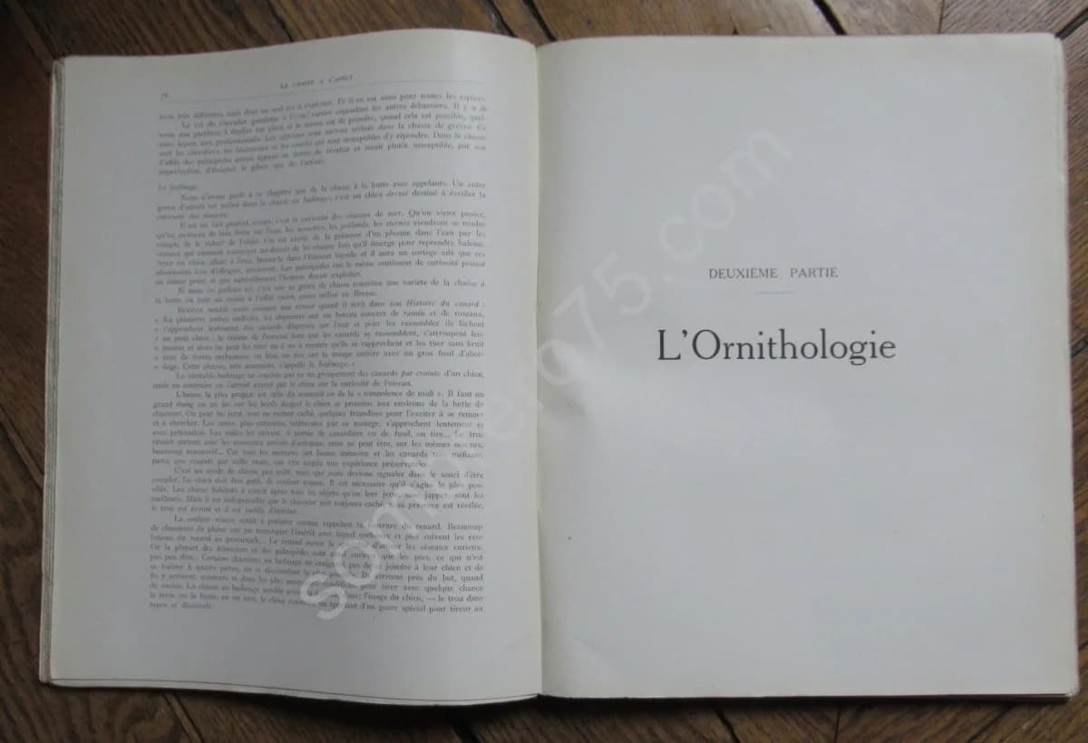 Notre Sauvagine et sa Chasse. Chasse - Classification - Description. R BOMMIER - Image 9