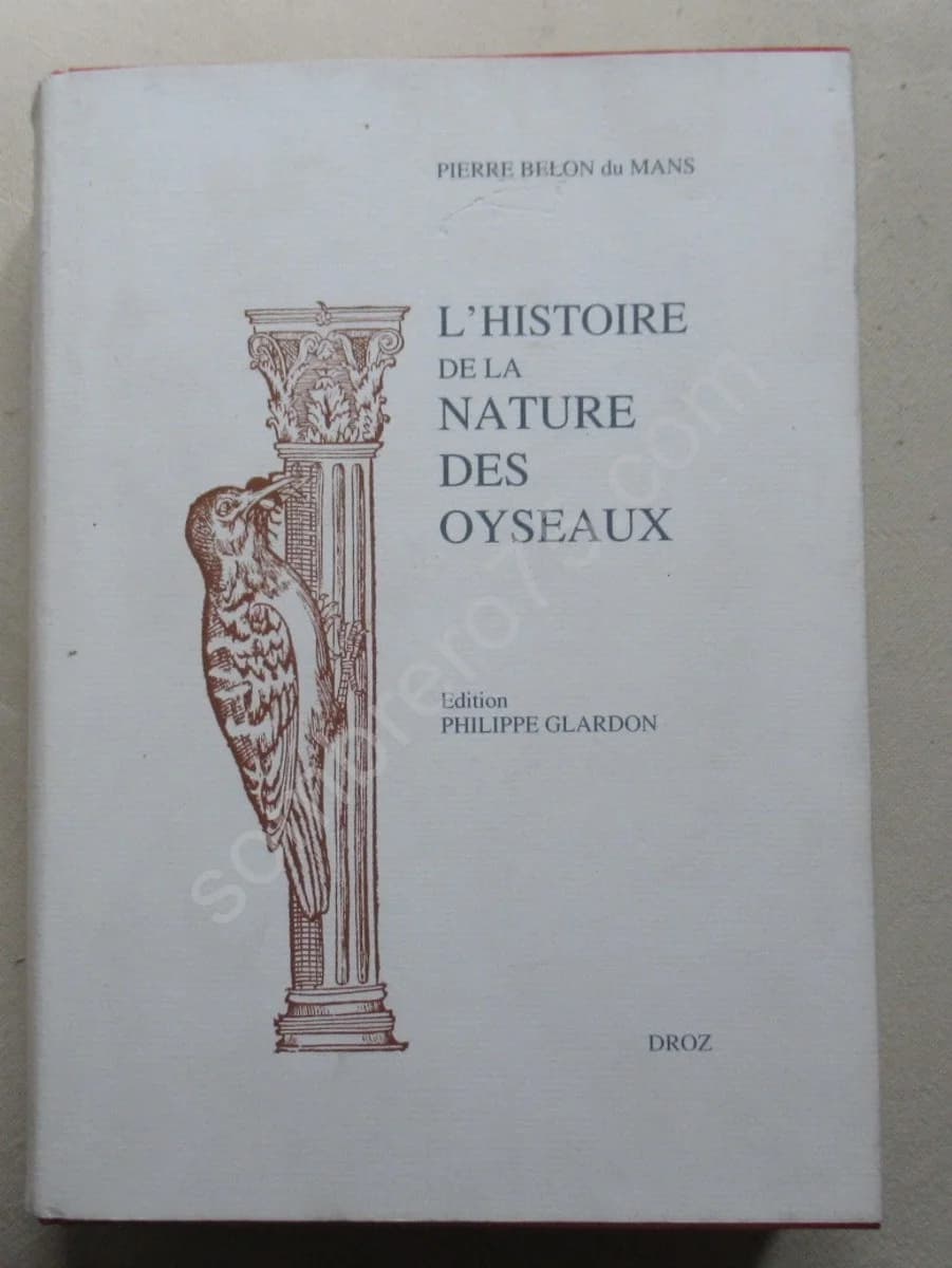 Histoire de la Nature des Oyseaux. Pierre Belon de Mans