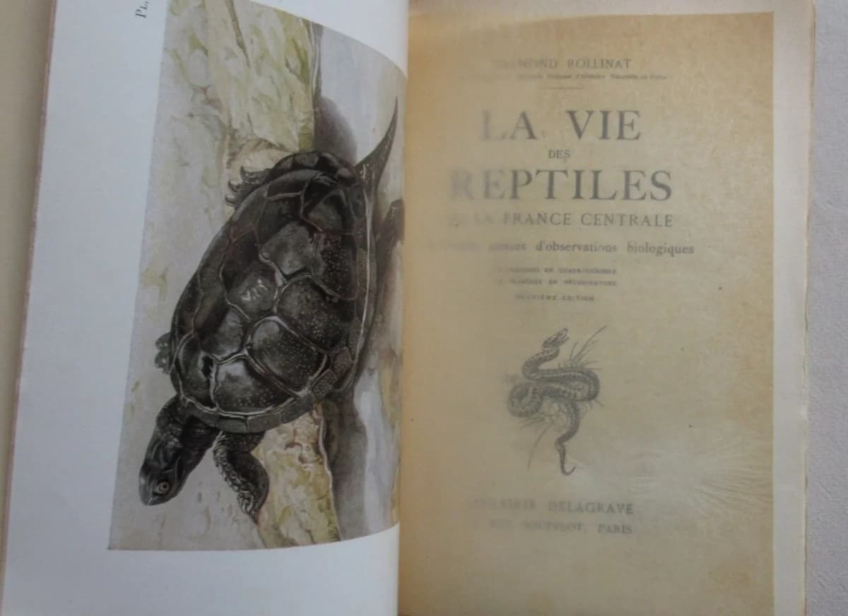 La Vie des Reptiles de la France Centrale.. 1934 - Image 3