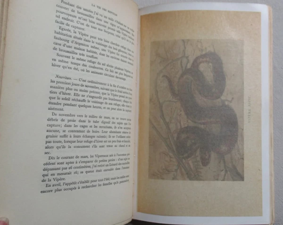 La Vie des Reptiles de la France Centrale.. 1934 - Image 5
