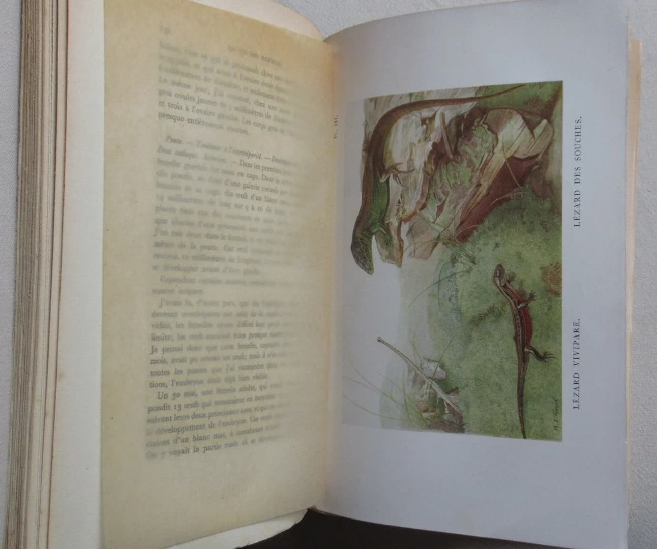 La Vie des Reptiles de la France Centrale.. 1934 - Image 8