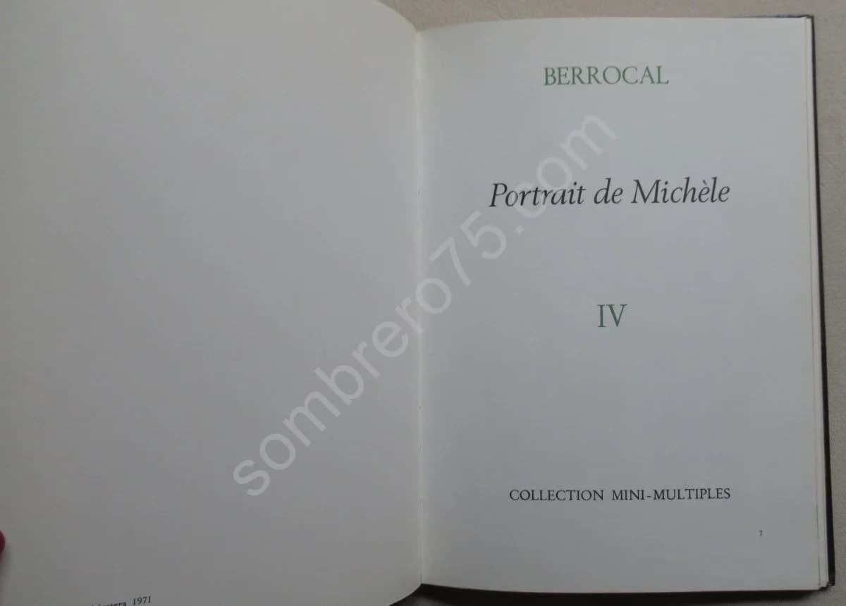 Portrait de Michèle - IV - Image 3