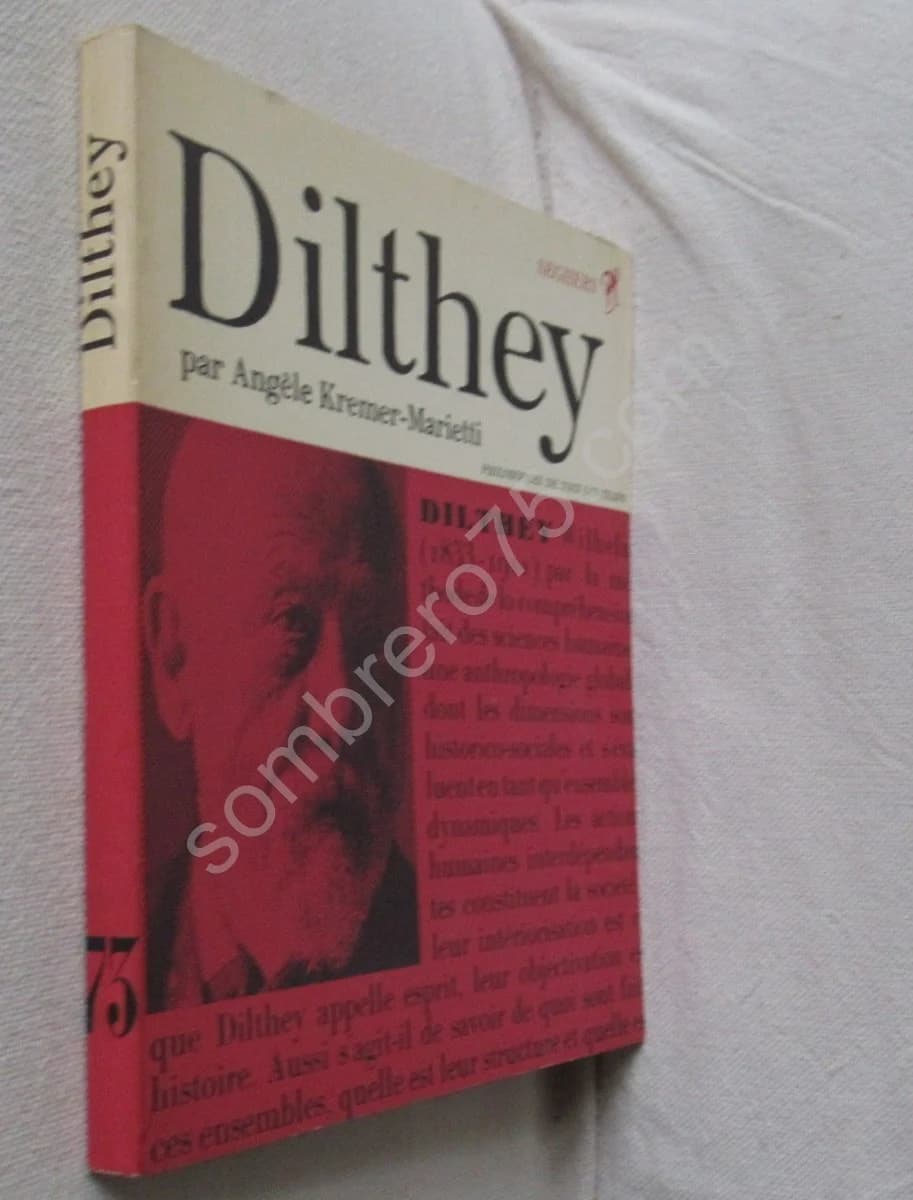Dilthey par Angèle Kremer-Marietti - Image 2