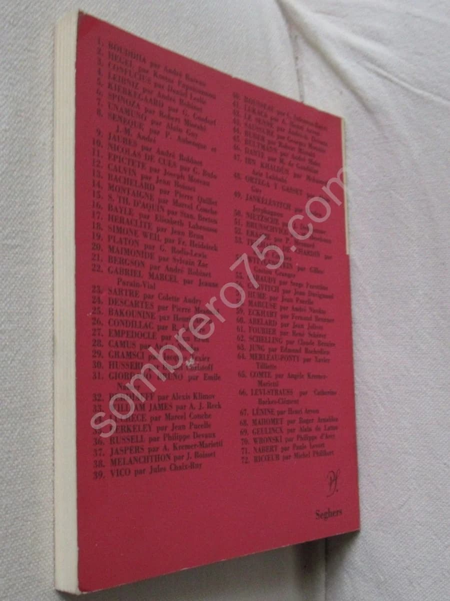 Dilthey par Angèle Kremer-Marietti - Image 3