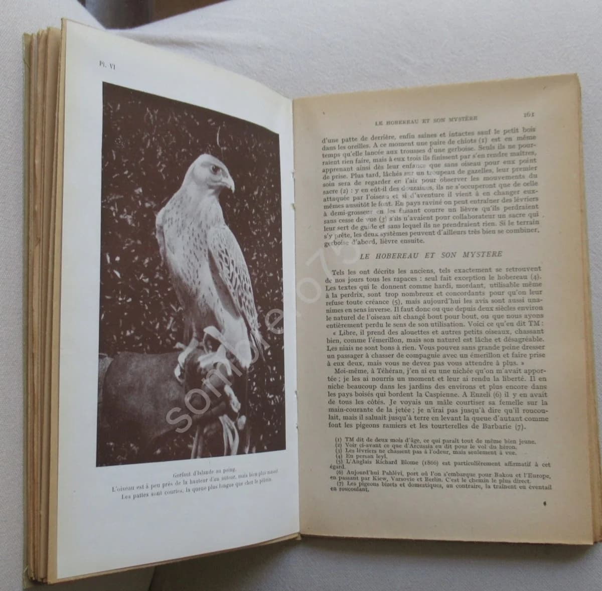 Traité de Fauconnerie et Autourserie - Image 3