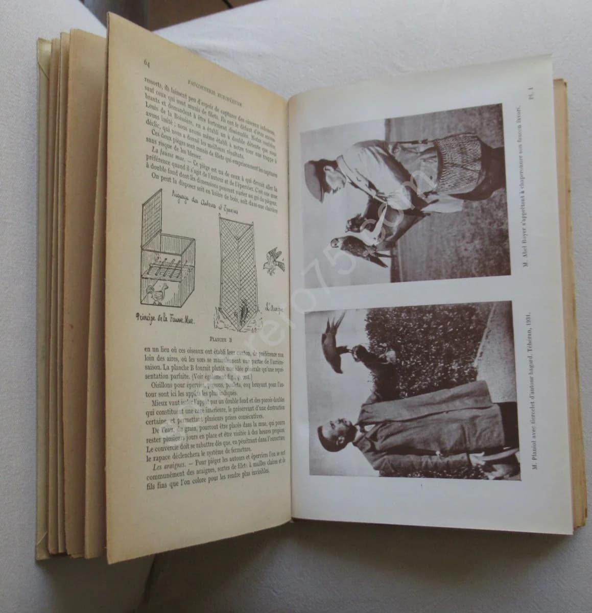 Traité de Fauconnerie et Autourserie - Image 4