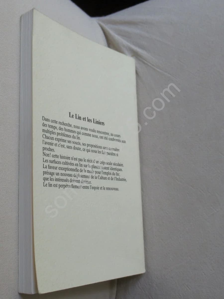 Le Lin et les Liniers - Image 4