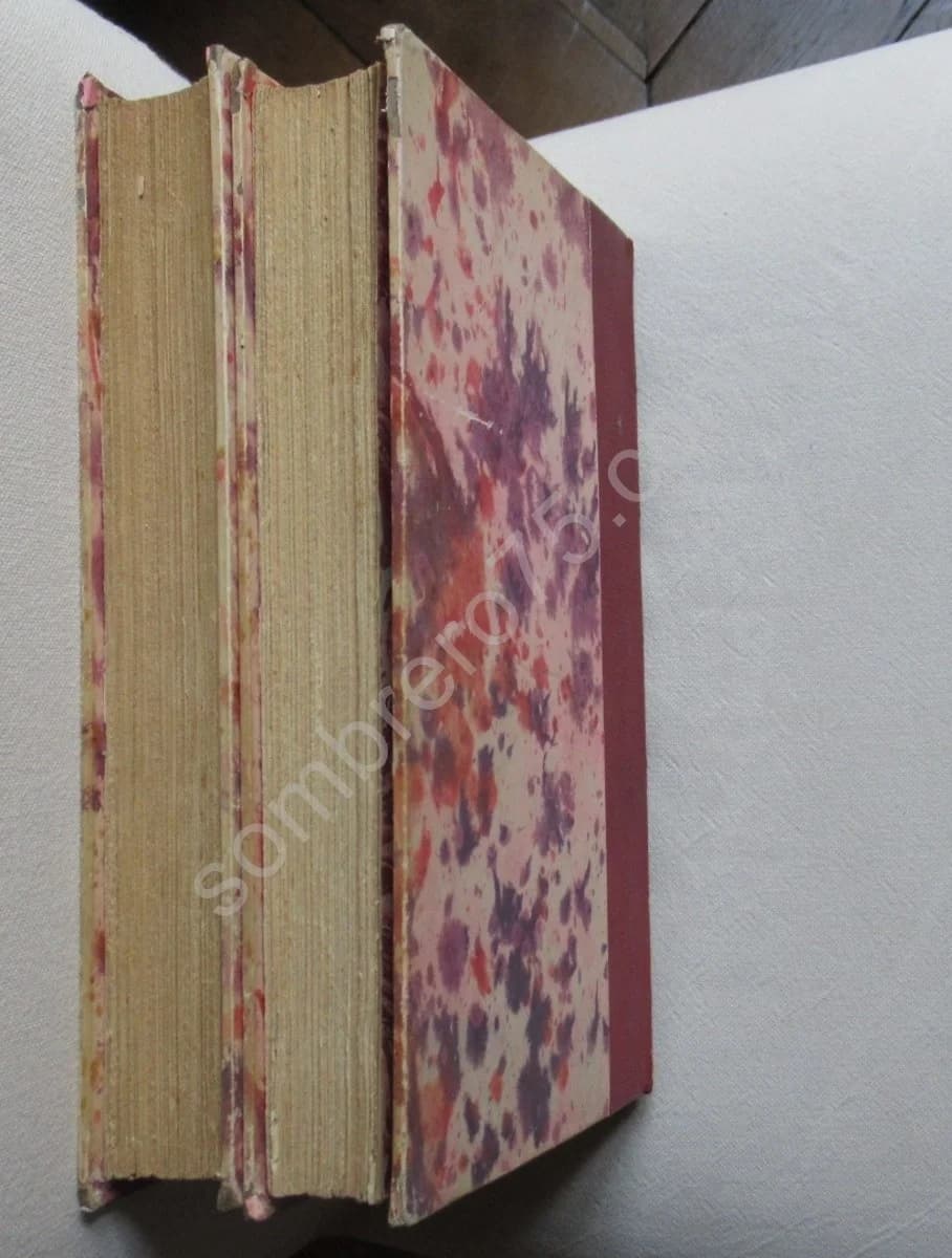 Histoire de Béthune - 2 Volumes - Image 9