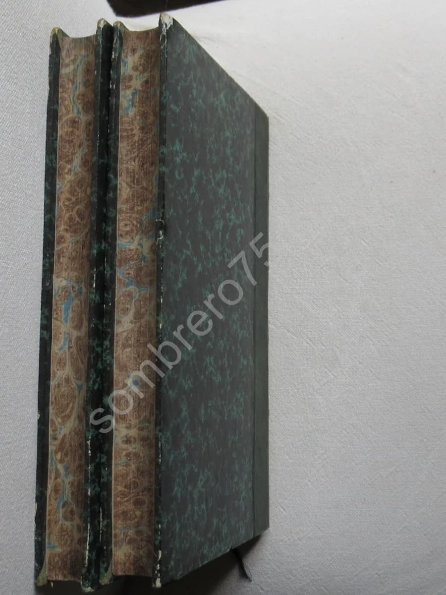 Etudes Historique sur l'Ancienne Lorraine. 2 volumes. V de Saint Mauris - Image 6