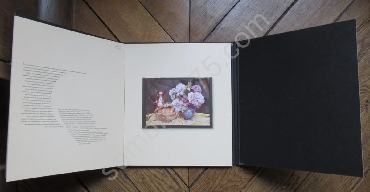 Les Autochromes Lumière - La couleur inventée. Lyon 1903 - Image 5