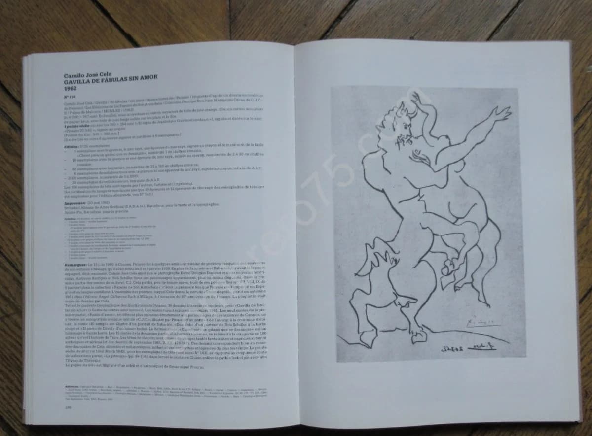 Pablo Picasso Catalogue raisonné des Livres Illustrés - Image 9