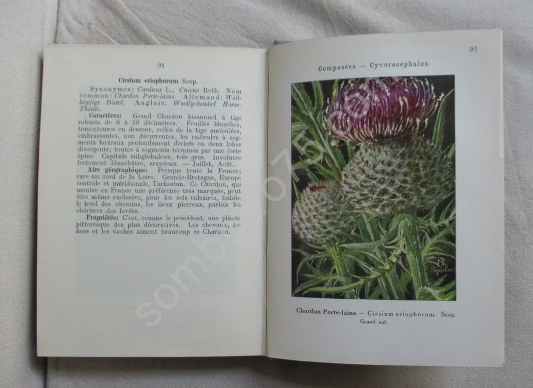 Les Fleurs des Moissons et des Cultures. Vol IV. Emile Gadeceau - Image 4