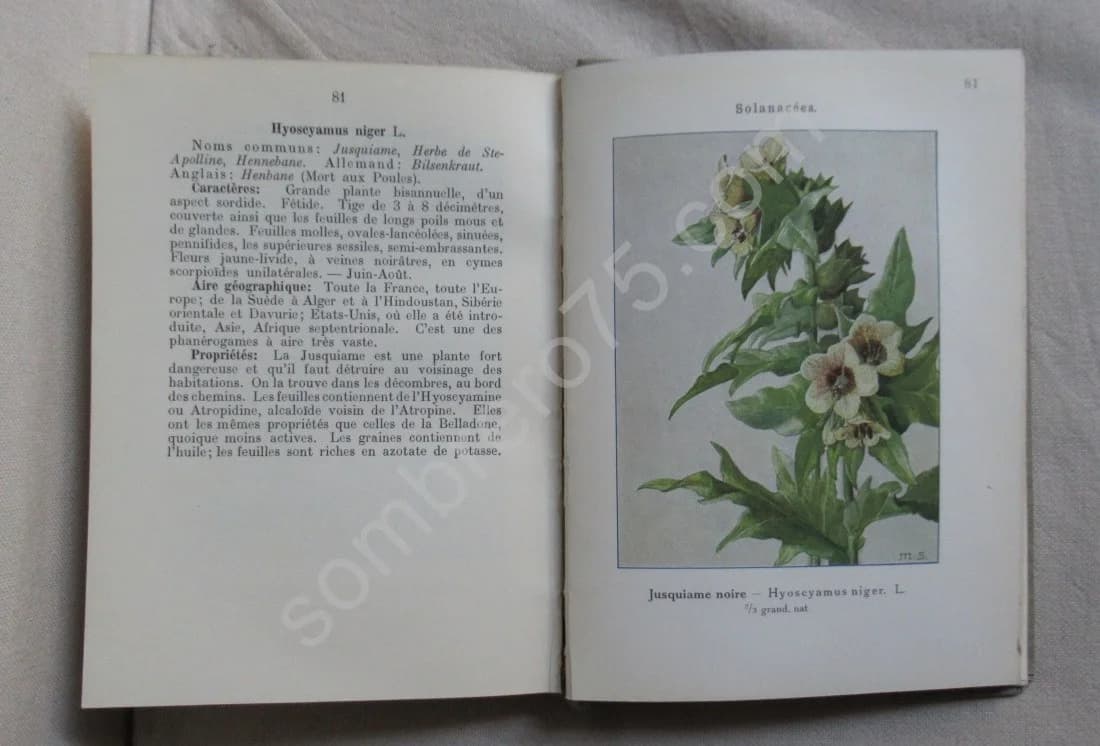 Les Fleurs des Moissons et des Cultures. Vol IV. Emile Gadeceau - Image 5