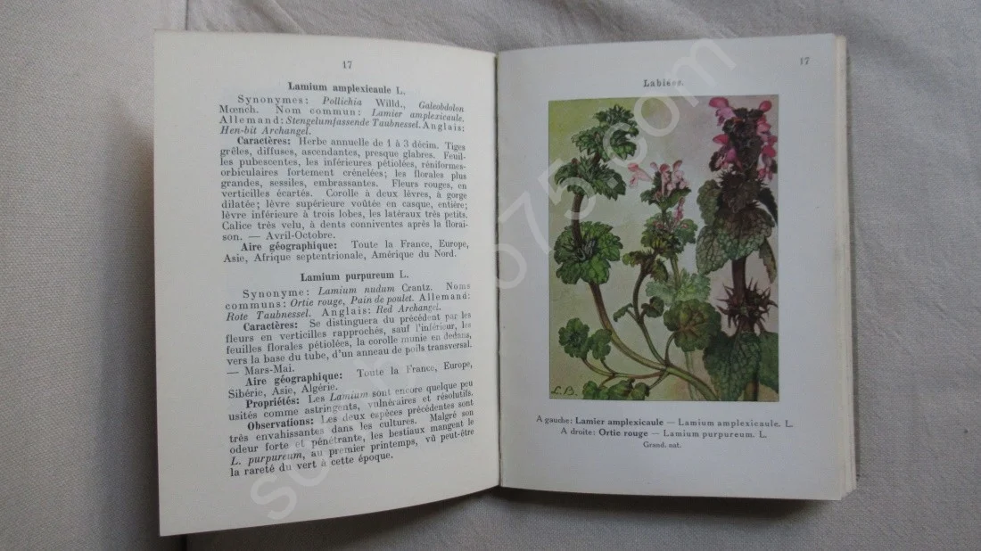 Les Fleurs des Moissons et des Cultures. Vol IV. Emile Gadeceau - Image 6