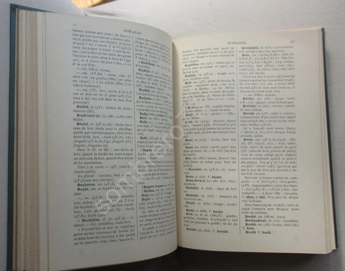 Dictionnaire Savoyard - Académie Florimontane. A Constantin et J Désormaux - Image 3